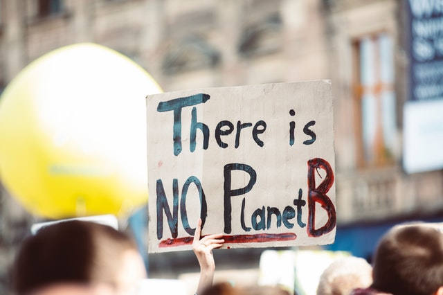 Enviromental Protest Signs